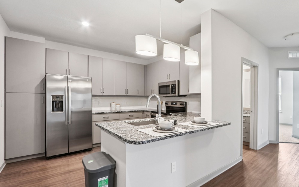 Kitchen View  1